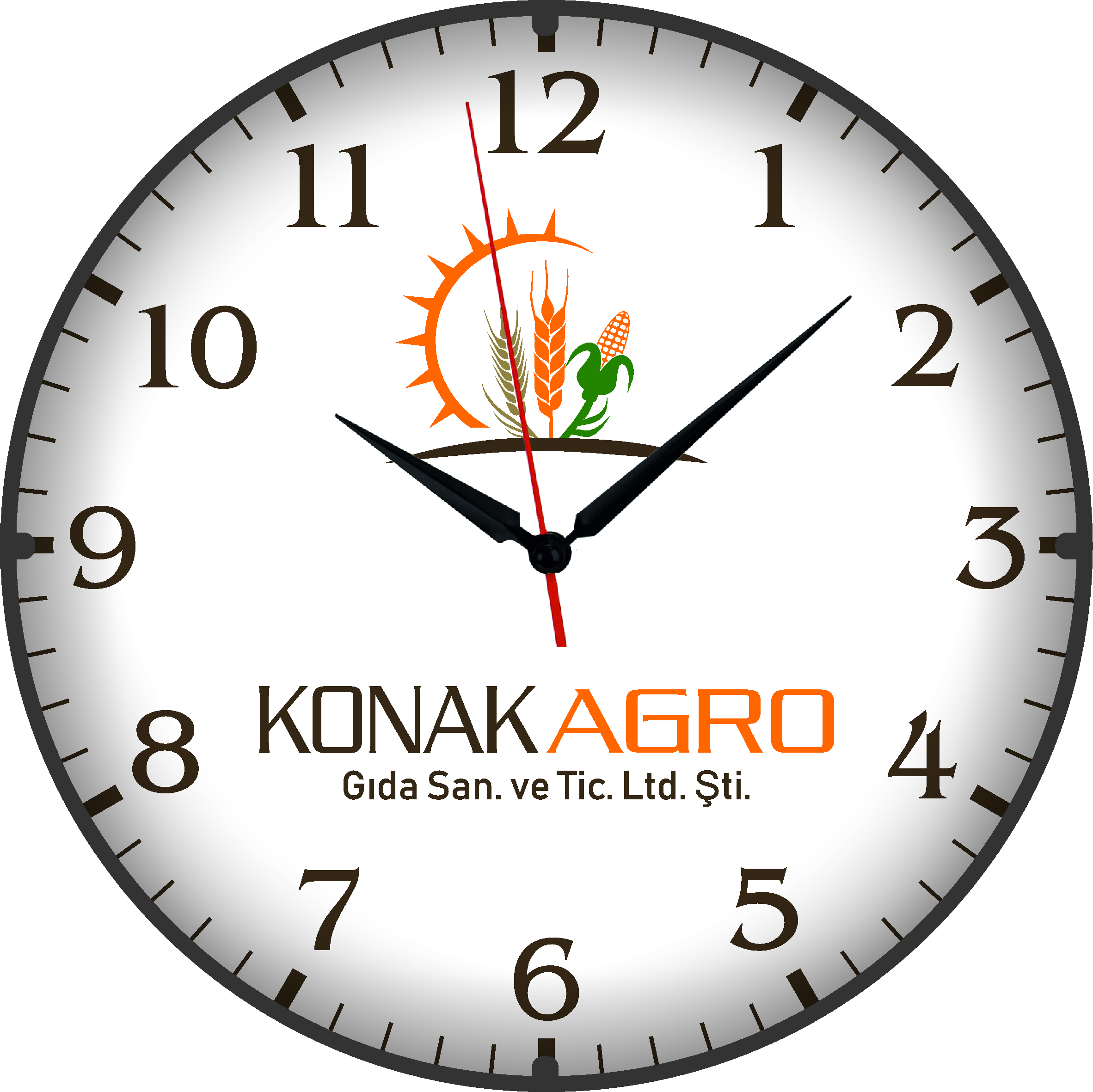 Beyaz Kadran B501-493